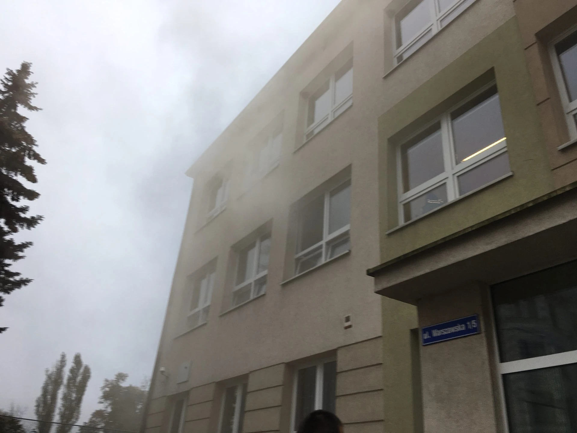 Galeria zdjęć we wpisie