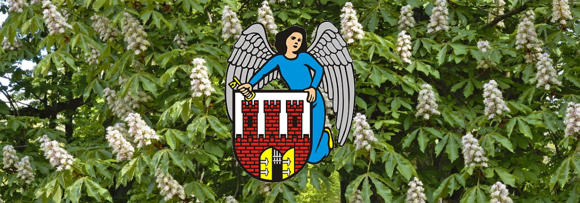 Zdjęcie wyróżniające