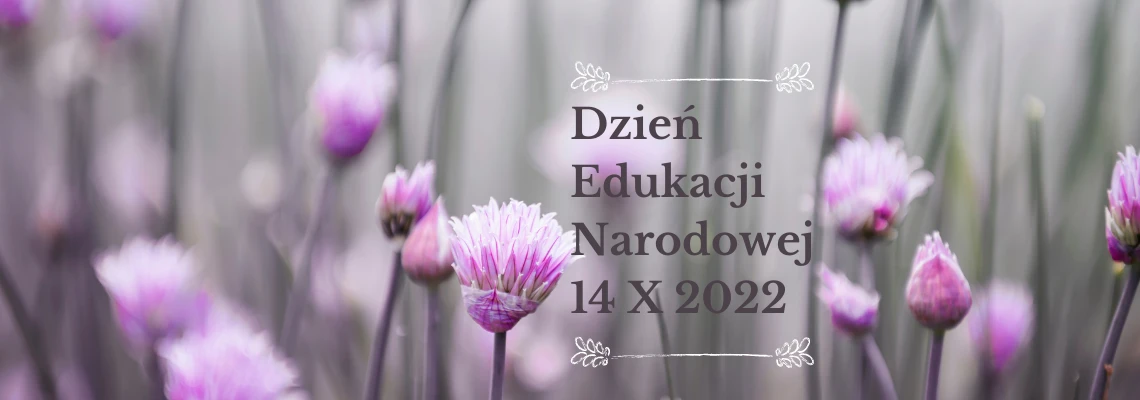 Galeria zdjęć we wpisie