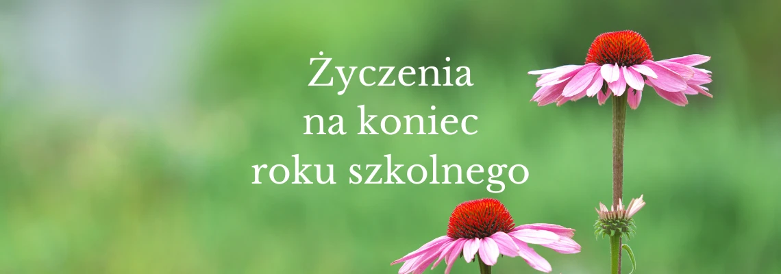 Zdjęcie wyróżniające
