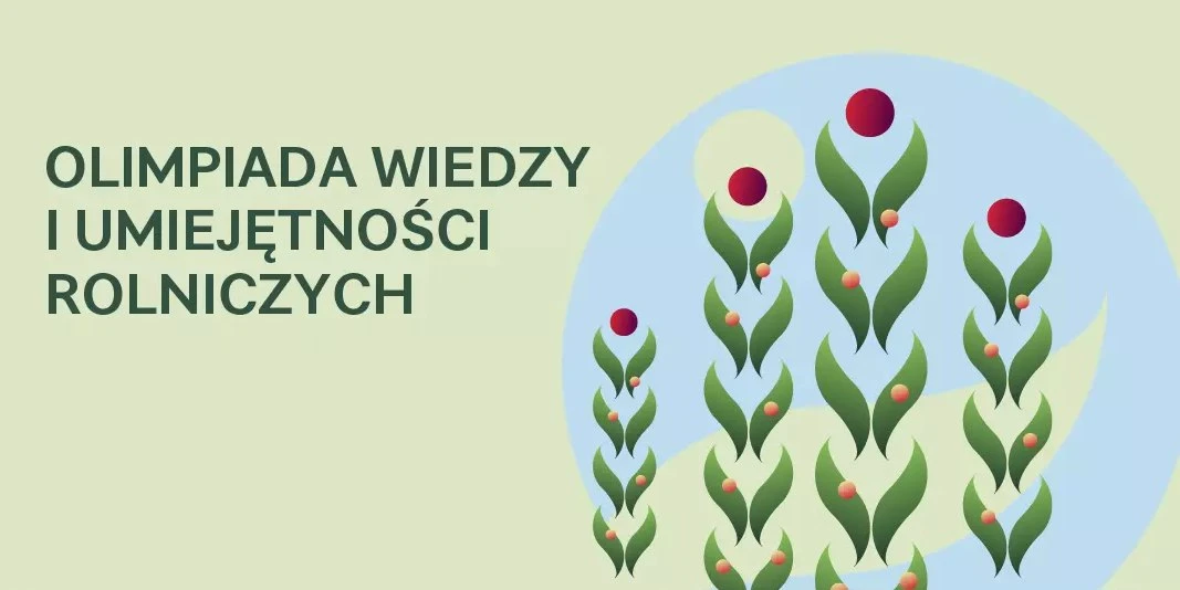 Galeria zdjęć we wpisie